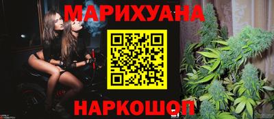сатива Бузулук