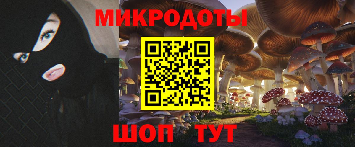Псилоцибиновые грибы Cubensis  Псилоцибиновые грибы мицелий  Новокубанск  Вход с VPN 