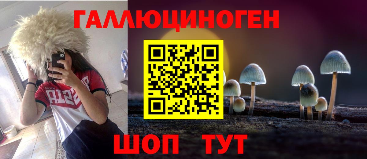 Галлюциногенные грибы Psilocybine cubensis Новокубанск